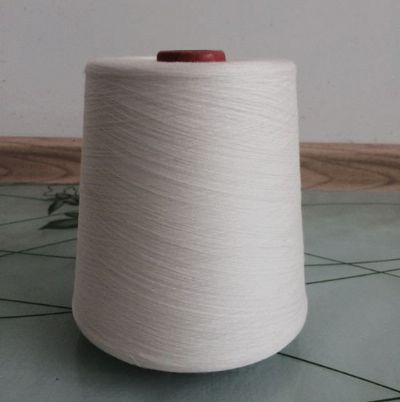 點擊查看詳細(xì)信息<br>標(biāo)題：緊密賽絡(luò)紡人棉紗 閱讀次數(shù)：3239