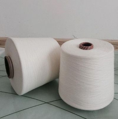點(diǎn)擊查看詳細(xì)信息<br>標(biāo)題：腈綸粘膠混紡紗 閱讀次數(shù)：2762