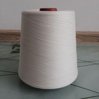 點(diǎn)擊查看詳細(xì)信息<br>標(biāo)題：絹絲粘膠混紡紗 閱讀次數(shù)：3546