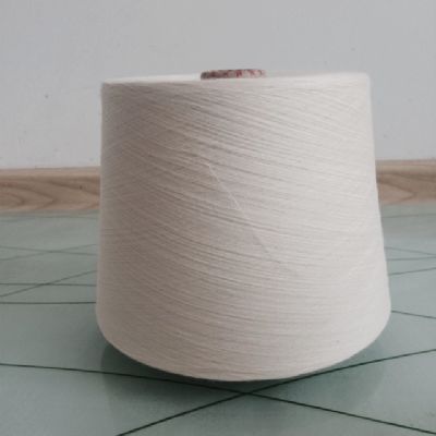 點擊查看詳細信息<br>標題：緊密賽絡紡竹纖維紗 閱讀次數(shù)：4385