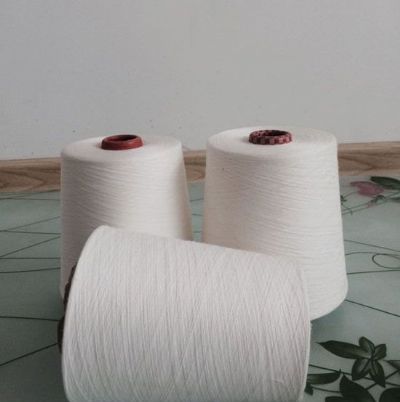 點(diǎn)擊查看詳細(xì)信息<br>標(biāo)題：緊密賽絡(luò)紡棉粘紗 閱讀次數(shù)：1077